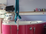 IMG_3909marienhospital_1000