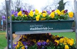 burtscheid_fotoLasseFalter17webjpg