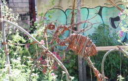biene_aus_weiden_hirschgruen_brouwers_FotoFranchy