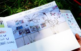 bienen_weiden_projekt_brouwers_FotoBirgitFranchy