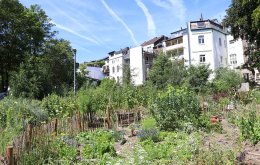 hirschgruen_aachen_FotoFranchy