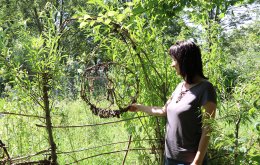 krystyna_ruetten_hirschgruen_FotoFranchy