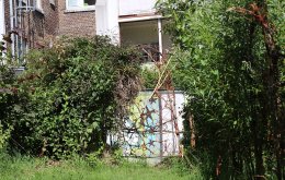 weidenzaun_hirschgruen_FotoFranchy