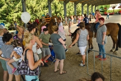 CHIO2018_SoerserSonntag_09