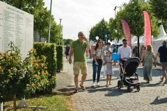 CHIO2018_SoerserSonntag_34