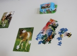 IMG_1524fluechtlinge_indagymnasium_Foto_BirgitFranchy