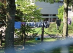 IMG_1595fluechtlinge_indagymnasium_Foto_BirgitFranchy