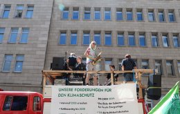 fridaysforfuture_aachen_09