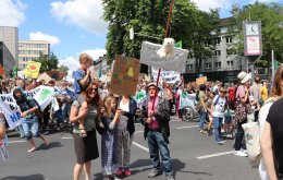 fridaysforfuture_aachen_20