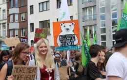 fridaysforfuture_aachen_27