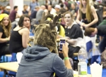 Gamescom 2014 | Halle 10 © Birgit Franchy