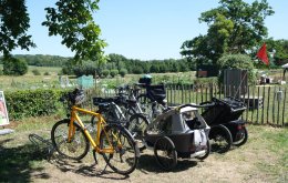 Viele kommen mit dem Fahrrad | Foto: Lasse Falter