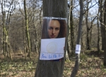 IMG_2589hambacherforst72