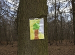 IMG_2593hambacherforst72