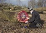 IMG_2602hambacherforst72