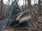 IMG_2622hambacherforst72
