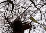 IMG_2629hambacherforst72