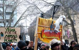 FFF_verdi_aachen_Foto_LasseFalter16