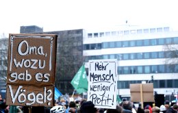 FFF_verdi_aachen_Foto_LasseFalter27