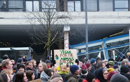 FFF_verdi_aachen_Foto_LasseFalter28