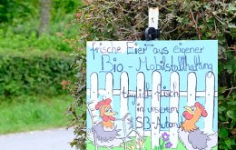 GutHasselholz_FotoLasseFalter