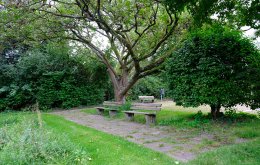 Kronenberg_baenke_park_FotoLasseFalter