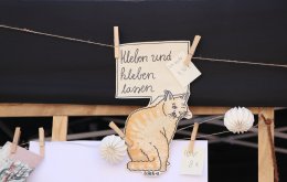 lothringair2019_aachen_017