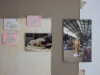 Ausstellung Fotos „Flohmarkthalle“ von Birgit Franchy & Baggerbilder von Caro Conrad