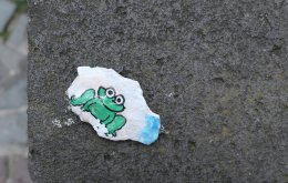 P1010575frosch_stein_burtscheid_franchy
