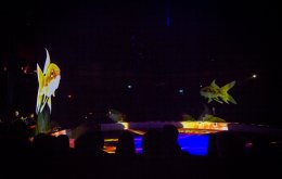 Circus Roncalli, Foto: Greta Arntz