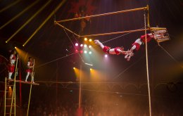 Circus Roncalli, Foto: Greta Arntz
