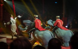 Circus Roncalli, Foto: Greta Arntz