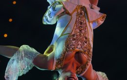 Circus Roncalli, Foto: Greta Arntz