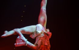 Circus Roncalli, Foto: Greta Arntz