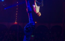 Circus Roncalli, Foto: Greta Arntz
