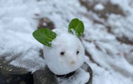 kingkalli_schneemann_aachen_01