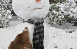 kingkalli_schneemann_aachen_16