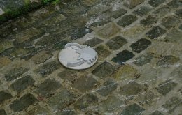 Lindenplatz-Wasserlauf-Krabbe