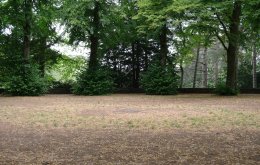 Stadtpark-Rondell-Grillplatz