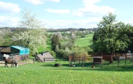 Walheim_Kalkofenroute_090424_590
