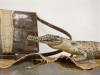 beschlagnahmte Schmuggelware im Zollmuseum Friedrichs © BF