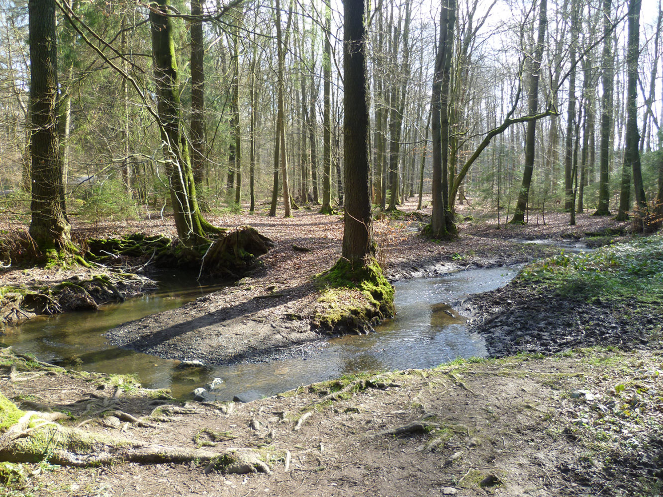 Frische Luft: Aachener Wald, Parks und Spaziergänge am Wasser - KingKalli