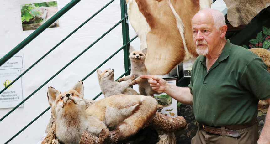 Wie fühlt sich das Fell einer kleine Wildkatze an? Wie sieht ein Biberfuß aus? Sind diese Krallen scharf? Das alles erfahren Kinder im Erlebnismuseum Lernort Natur in Monschau. Der Jäger und Naturpädagoge Hermann Carl gibt spannende Einblicke in die Welt der Tiere. In den Ferien ist täglich geöffnet.