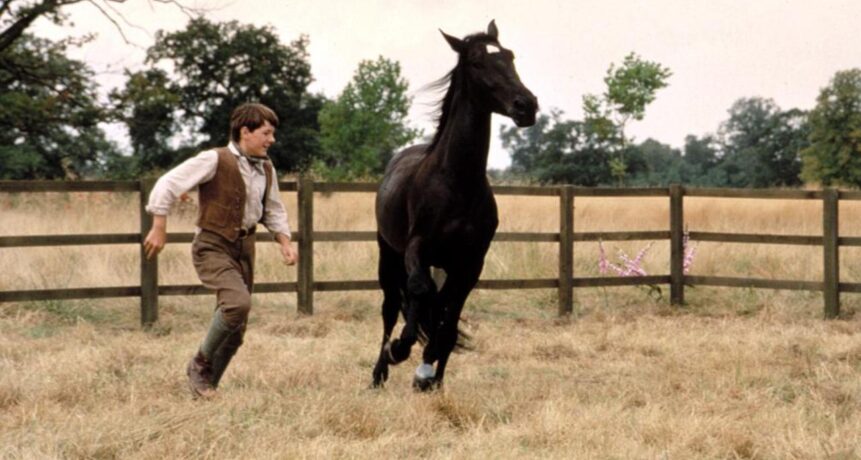 Das Pferd als Filmheld – die besten Pferdefilme